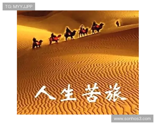 凯时人生就是赌:在不断的风险中寻找属于自己的幸福与成功之道 凯时人生就是赌:在不断的风险中寻找属于自己的幸福与成功之道