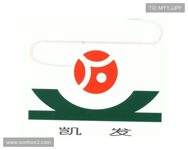 凯发首页地址注册商标成功的关键技巧与实用建议分享